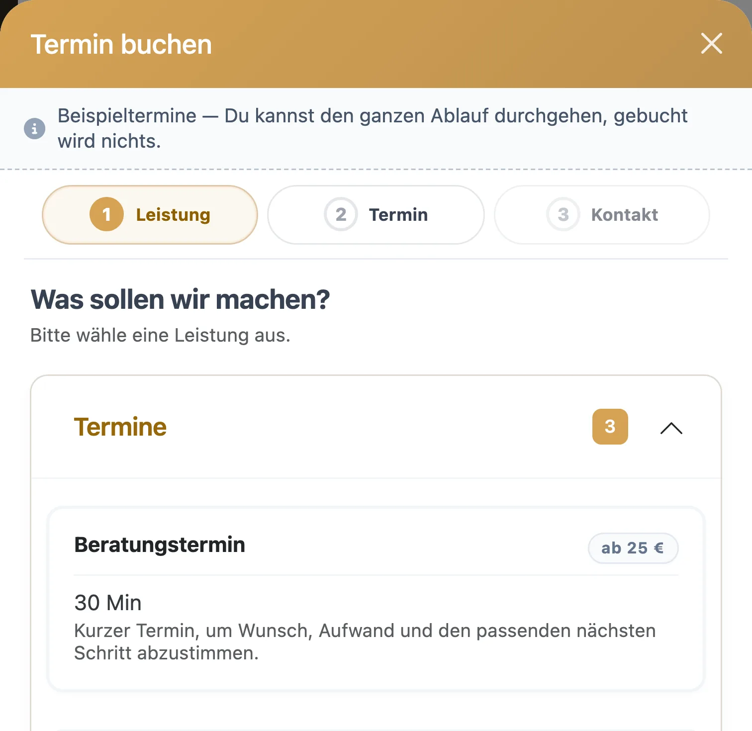 Das Buchungsfenster von Salon Wizard im Demo-Salon: erst die Leistung wählen, dann den Termin, dann die Kontaktdaten